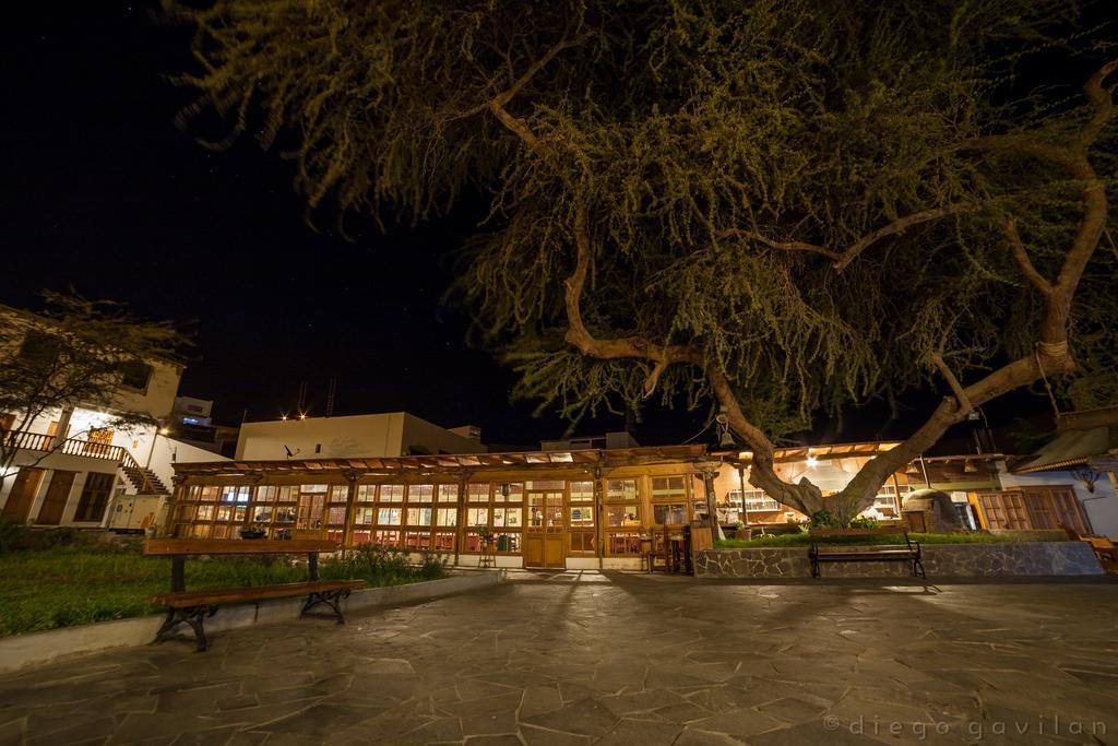 Hotel El Huarango Ica Exterior photo